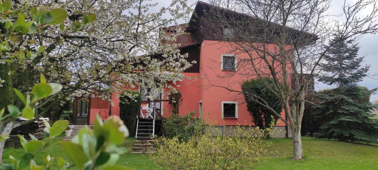 Za Gorami, Za Lasami Mysłakowice Exteriör bild
